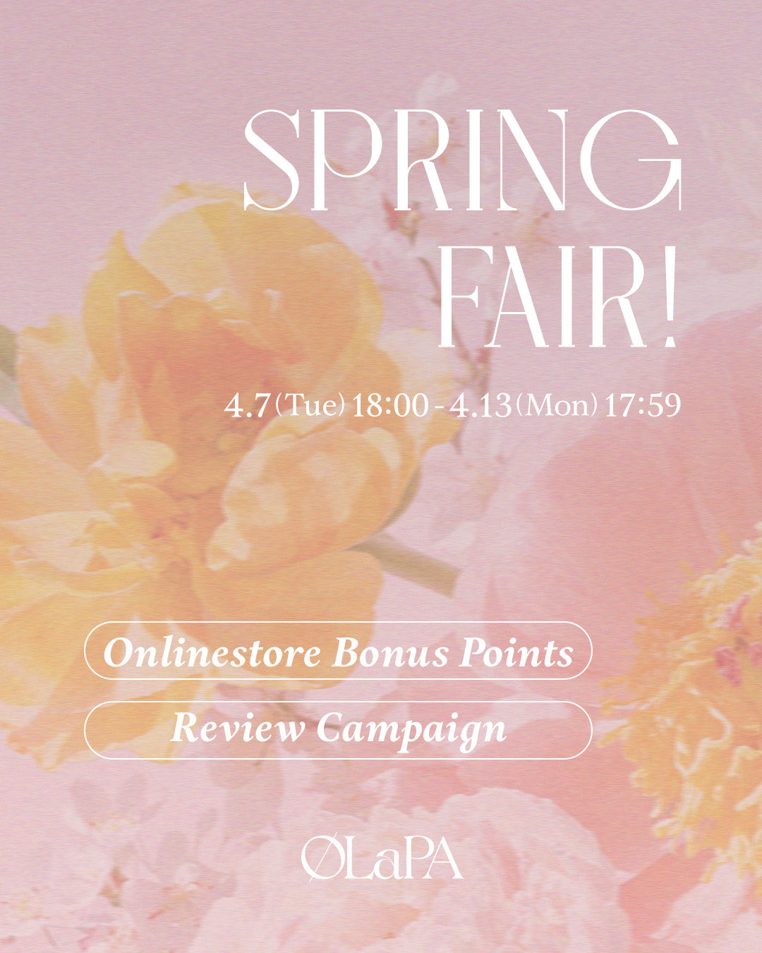 🌸𝐎𝐋𝐚𝐏𝐀 𝐒𝐏𝐑𝐈𝐍𝐆 𝐅𝐀𝐈𝐑！🌸