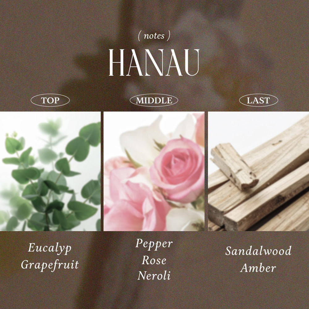 HANAU body cream – OLaPA